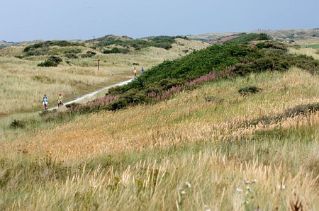 Foto zonder naam