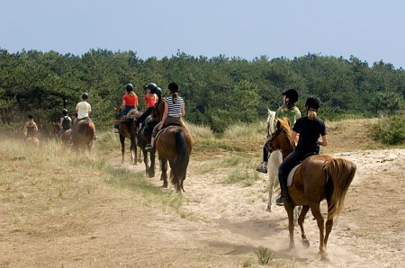 Foto zonder naam