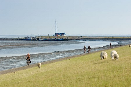 Foto zonder naam