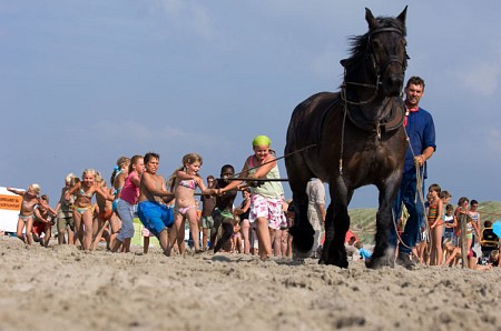 Foto zonder naam