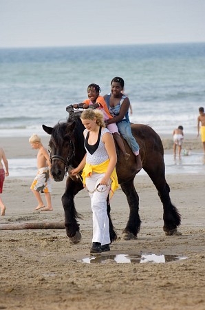 Foto zonder naam