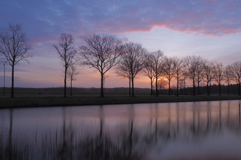 Zonsopkomst bij Oranjewoud