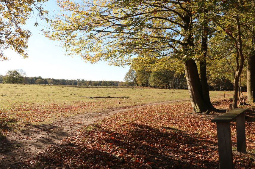 Heide van Allartsoog, Bakkeveen