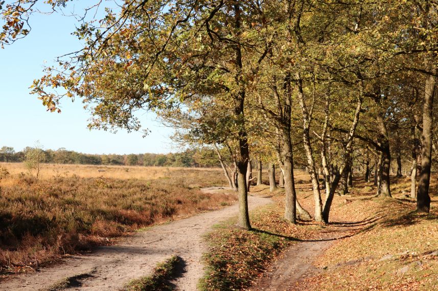 Heide van Allartsoog, Bakkeveen