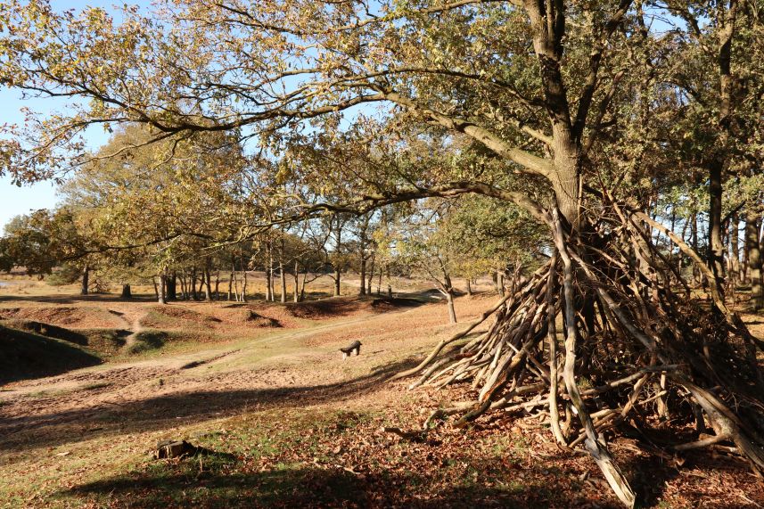 Heide van Allartsoog, Bakkeveen