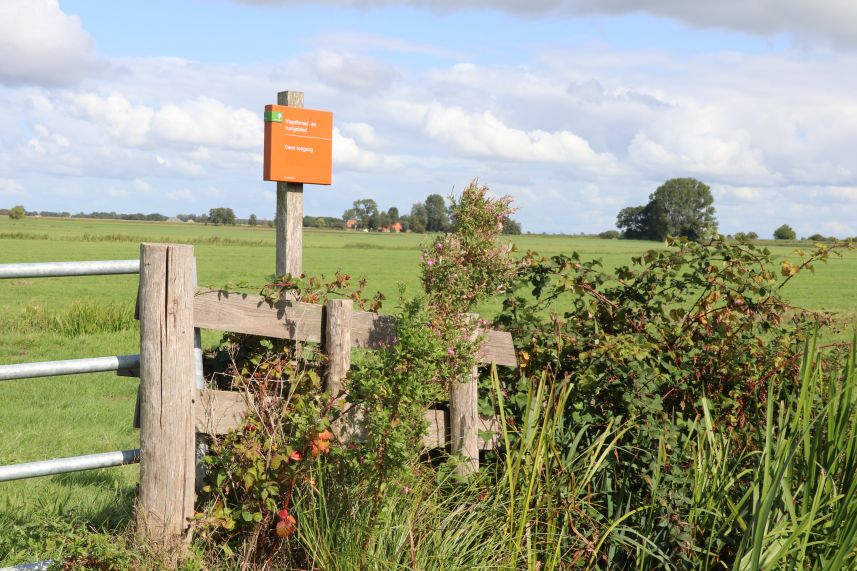 Polder Delfstrahuizen