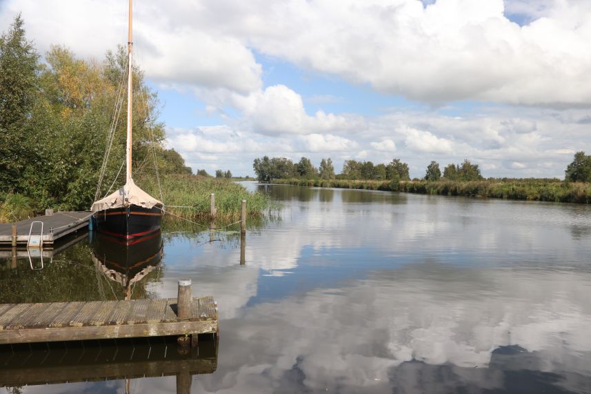 Tjonger bij Zevenbuurt