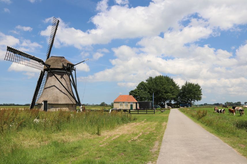 Molen de Puollen, Dronryp