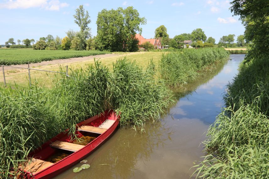 Oude Haven, Dronryp