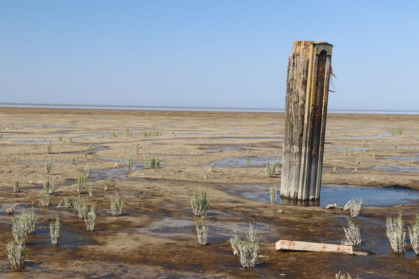 Waddenzee bij Koehool