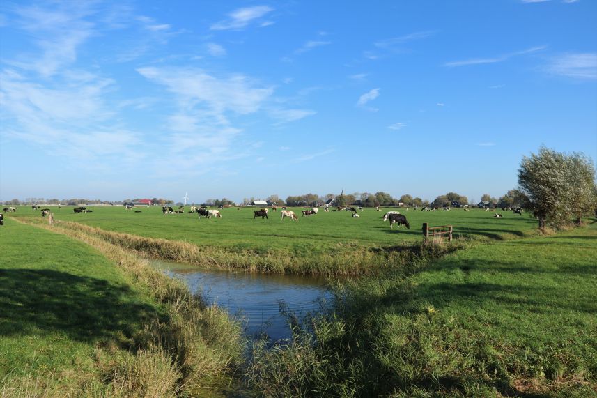 Weidegebied bij Ginnum