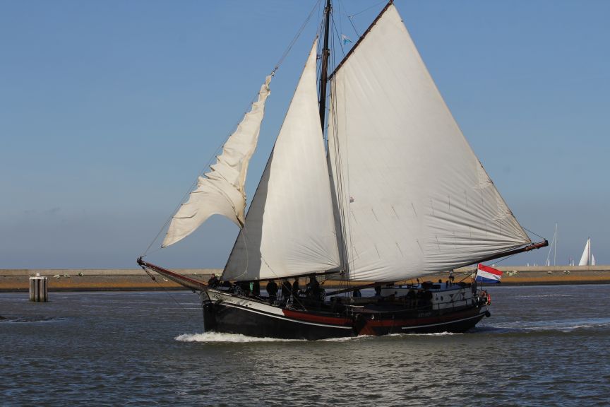 Bruine vloot Harlingen