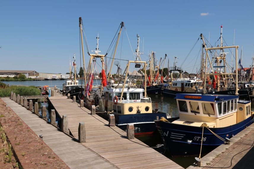 Vissersvloot in haven Stavoren