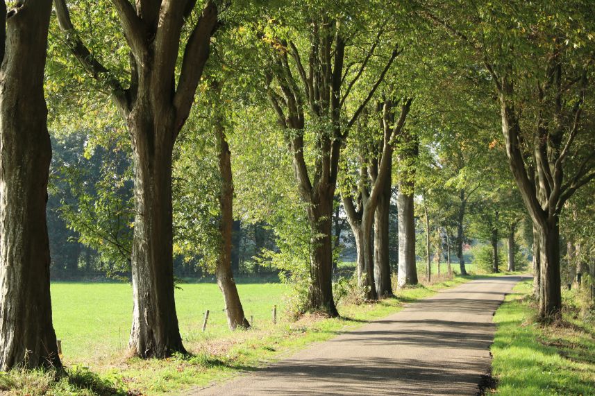 IJkenweg, de Hoeve