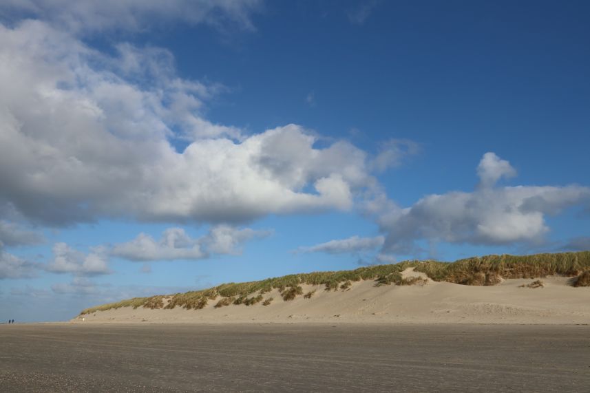 strand Hollum, Ameland