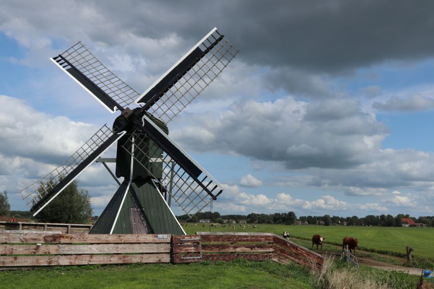 Spinnekopmolen bij IJlst