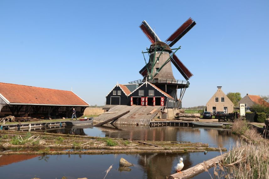 Molen de Rat, IJlst