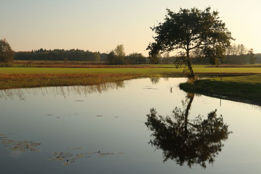 Wallebosch, Beetsterzwaag