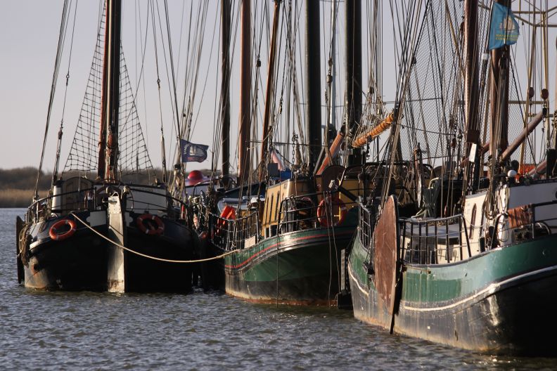 bruine vloot haven Makkum