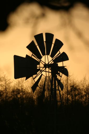 windturbine in natuurgebied de Rottige Meente