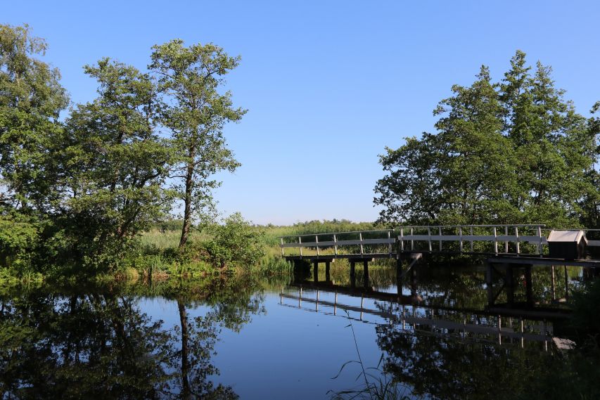 brug over de Scheene, Rottige Meenthe