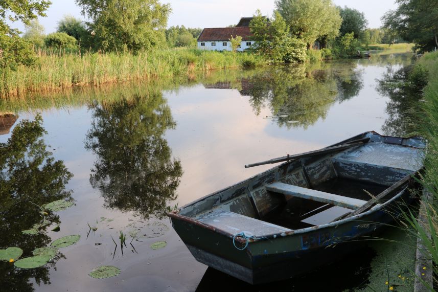 De Scheene in natuurgebied de Rottige Meente