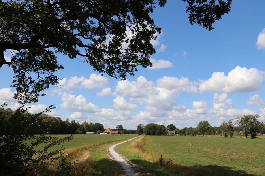 veld bij Nijeberkoop