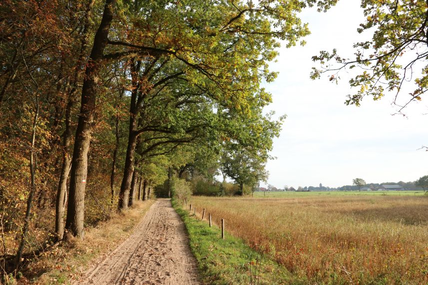 zandweg Nijemirdum