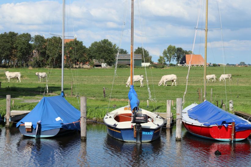 Haventje Nijhuizumer Trekfeart