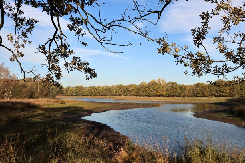 Dellebuurster Heide, Oldeberkoop