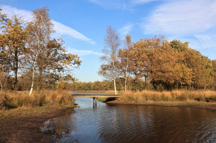 Dellebuurster Heide, Oldeberkoop