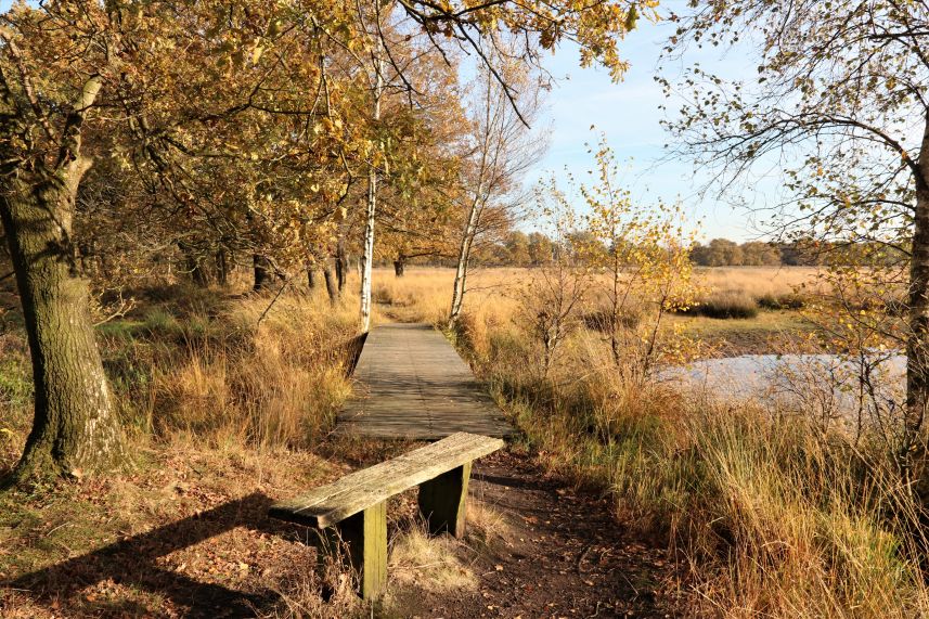 Dellebuurster Heide, Oldeberkoop