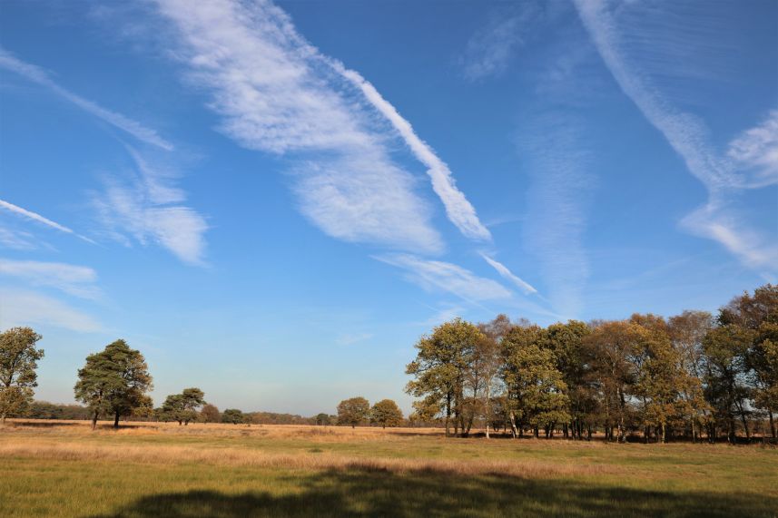 Dellebuurster Heide, Oldeberkoop