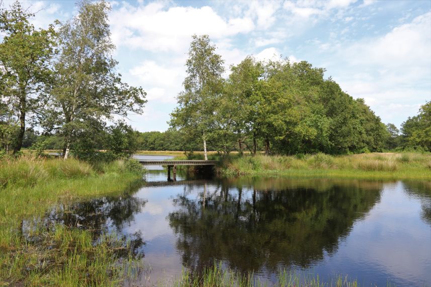 Dellebuurster Heide, Oldeberkoop