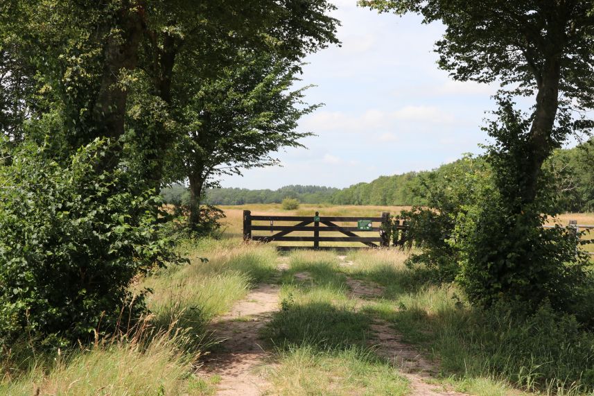 Dellebuurster Heide, Oldeberkoop