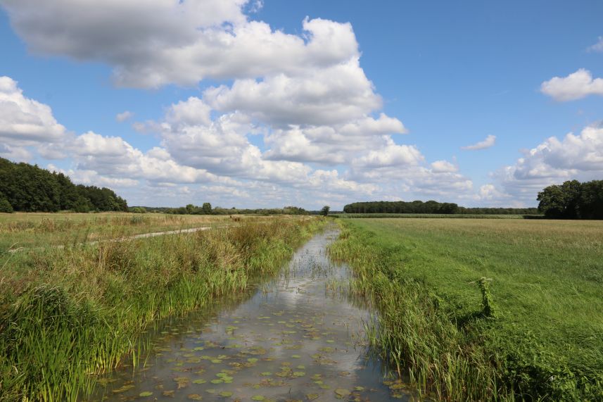 De Lende bij de Bekhoftille, Oldeberkoop