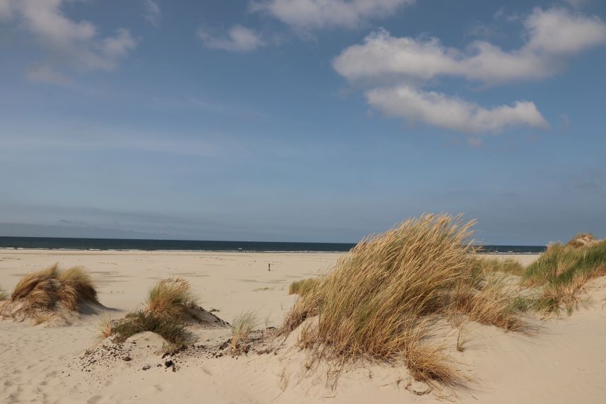 Strand bij Oosterend, Terschelling