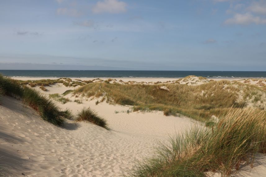 Duinen Oosterend, Terschellling