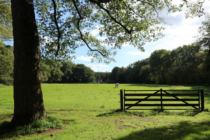 Landgoed Oranjewoud