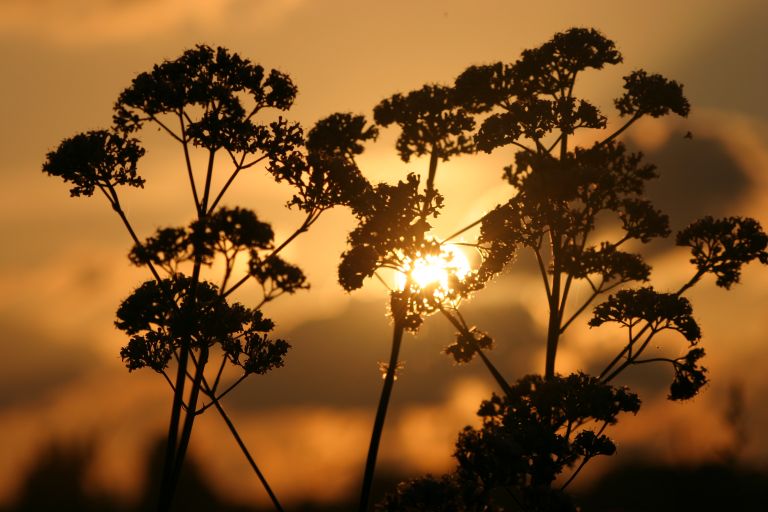 zonsondergang