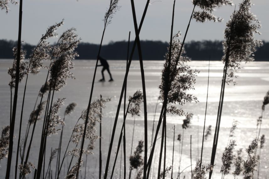 Schaatser achter rietkraag Nannewijd, Oudehaske