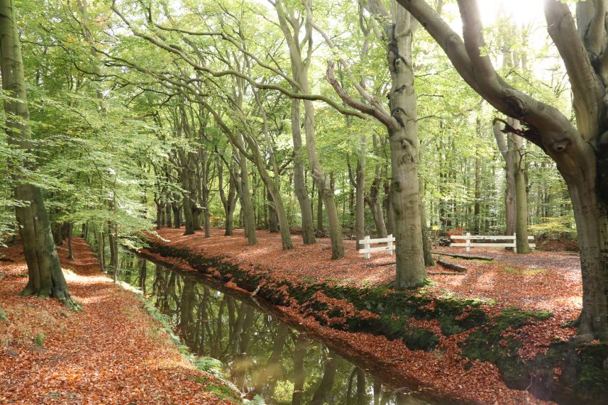 Boekesingel, Oudemirdum