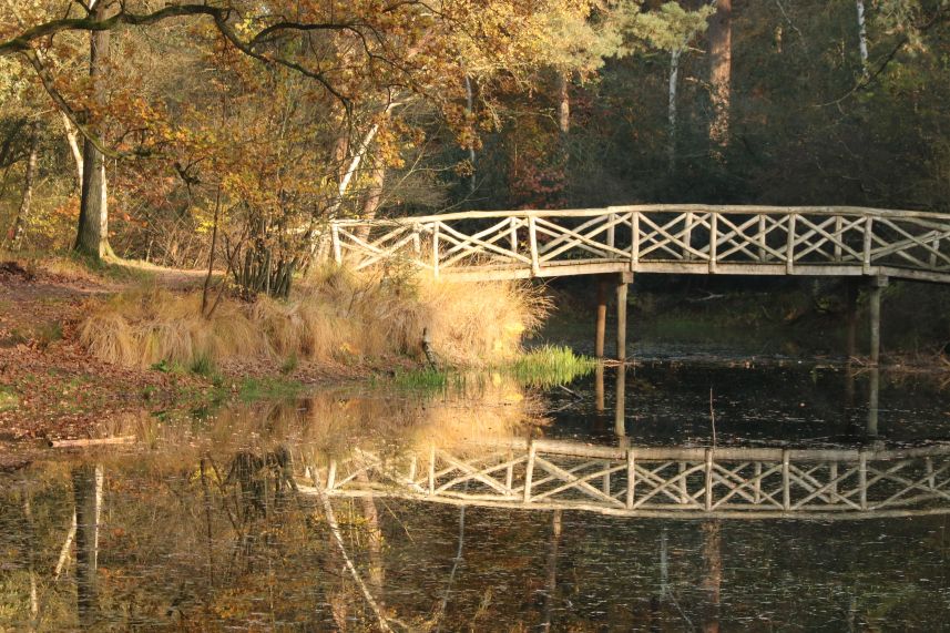 Elfbergen, Oudemirdum