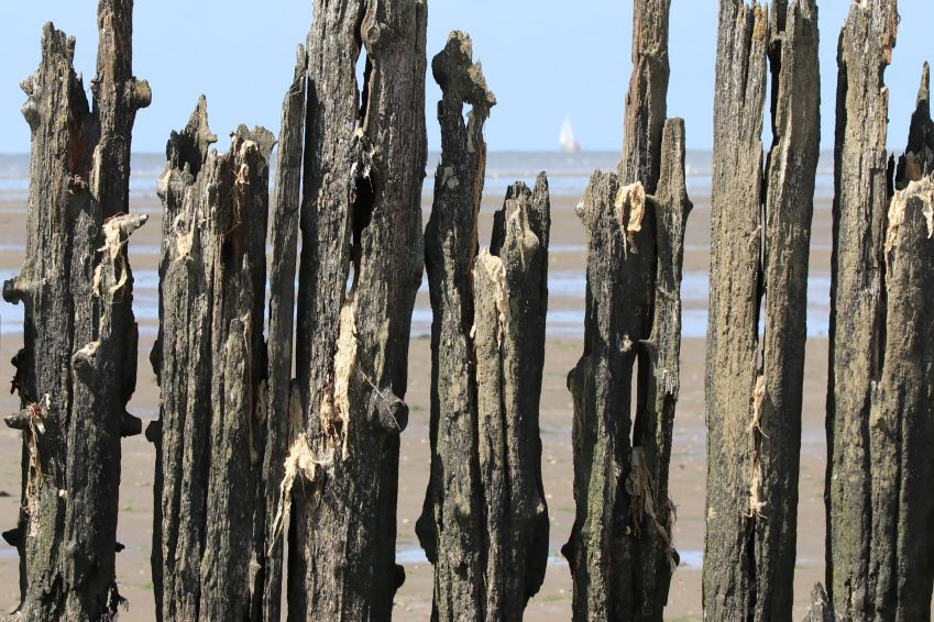 Waddenzee bij Paesens