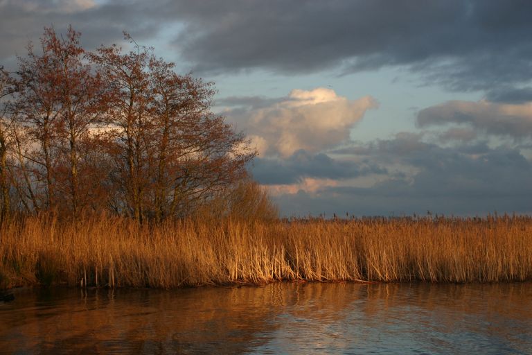 Tjeukemeer bij Rohel