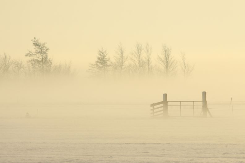 sneeuwlandschap bij Rotstergaast