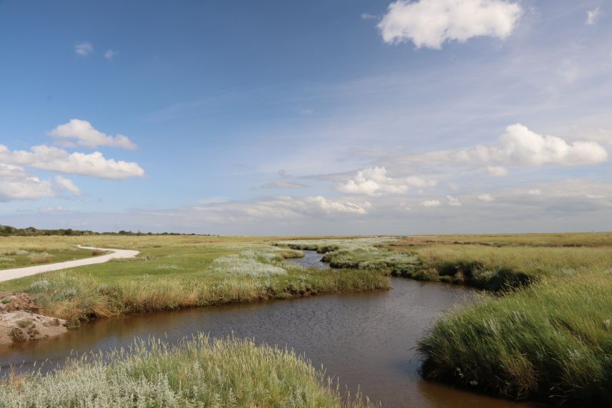 Kobbeduinen, Schiermonnikoog