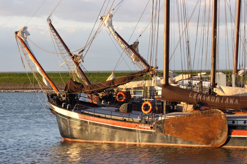 Bruine vloot bij Makkum