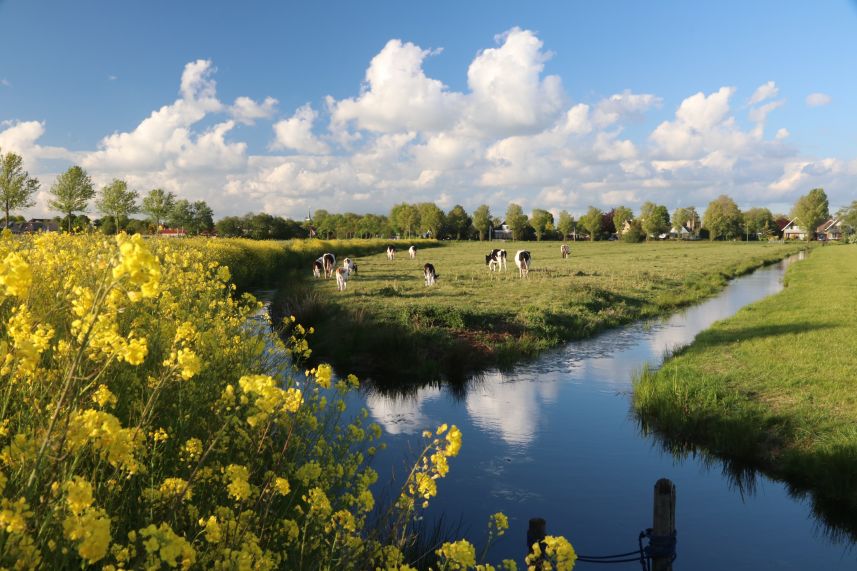 Utbuorren, Terherne