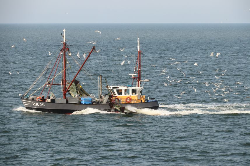 Vissersboot op het Wad bij Terschelling